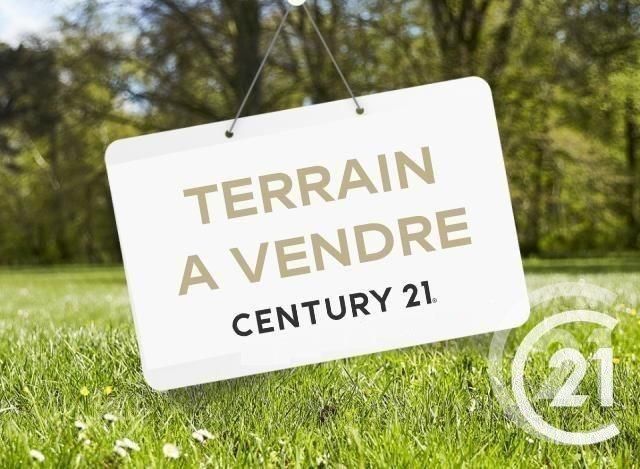 terrain - ST BERNARD - 01