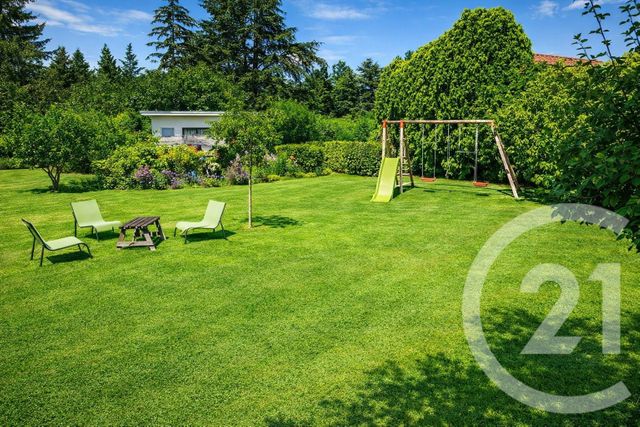 terrain - ST BERNARD - 01