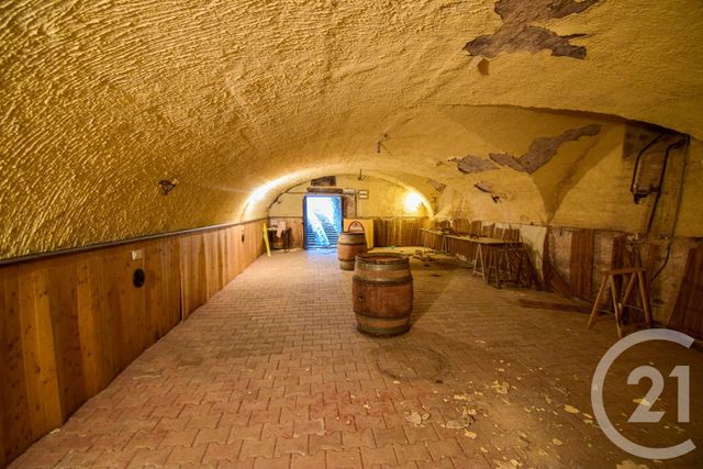 Maison &agrave; vendre - 8 pi&egrave;ces - 500 m2 - St Etienne La Varenne - 69 - RHONE-ALPES