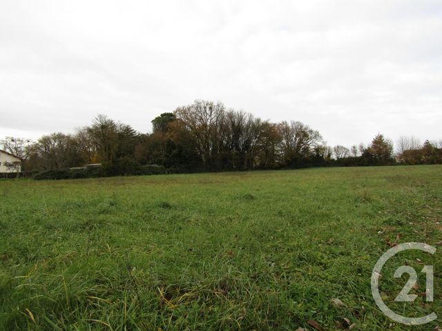 terrain - SOMPT - 79