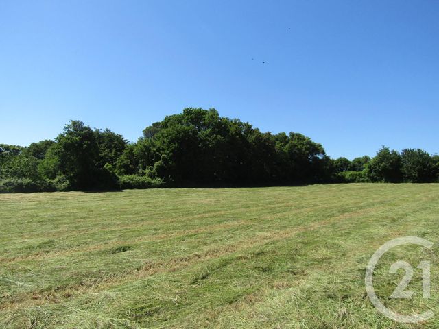 Terrain &agrave; vendre - 5395 m2 - Sompt - 79 - POITOU-CHARENTES