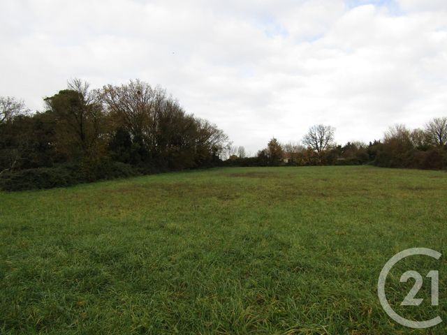 Terrain &agrave; vendre - 5395 m2 - Sompt - 79 - POITOU-CHARENTES
