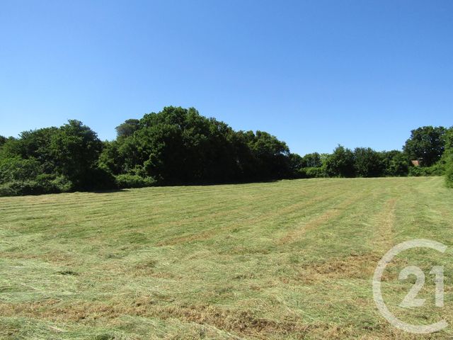 Terrain &agrave; vendre - 5395 m2 - Sompt - 79 - POITOU-CHARENTES