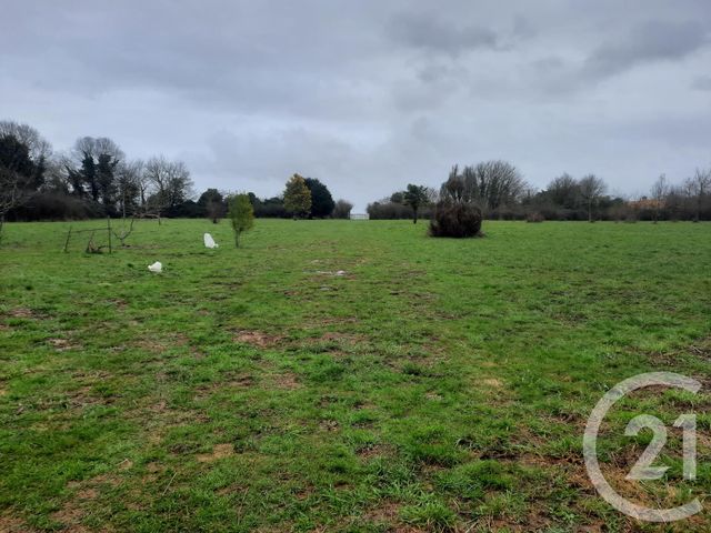 Maison &agrave; vendre - 7 pi&egrave;ces - 202,10 m2 - Alloinay - 79 - POITOU-CHARENTES