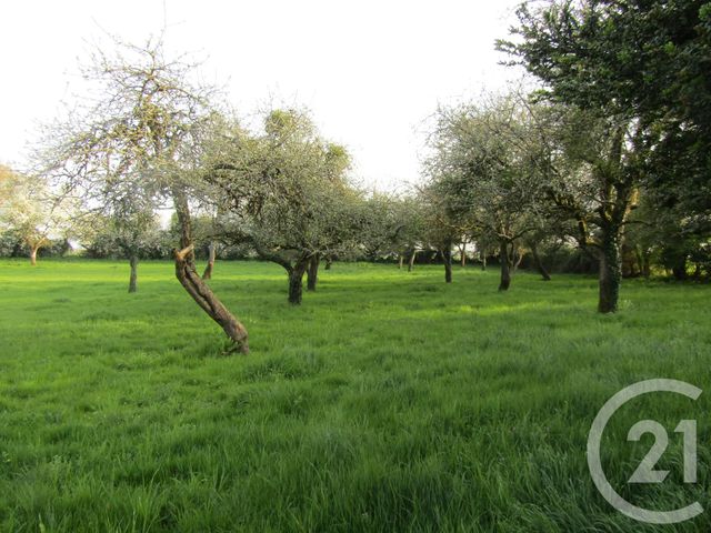 Maison &agrave; vendre - 4 pi&egrave;ces - 123 m2 - St Vincent La Chatre - 79 - POITOU-CHARENTES