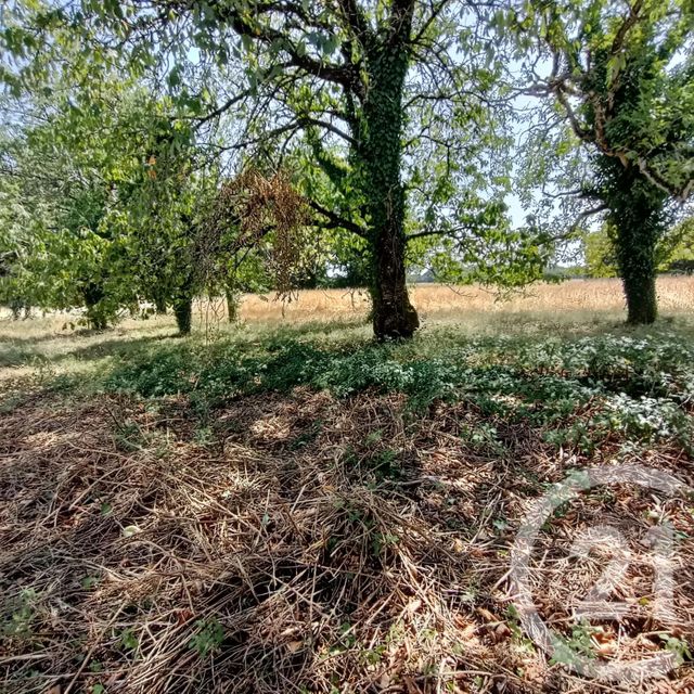 Maison &agrave; vendre - 5 pi&egrave;ces - 136,70 m2 - Valdelaume - 79 - POITOU-CHARENTES