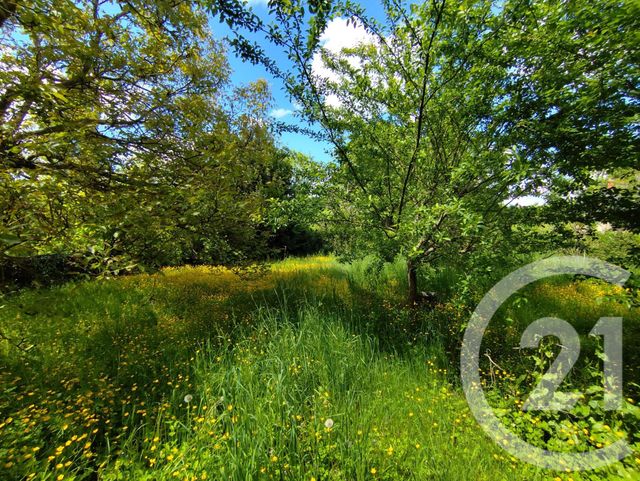 Maison à vendre - 8 pièces - 222 m2 - St Chartier - 36 - CENTRE