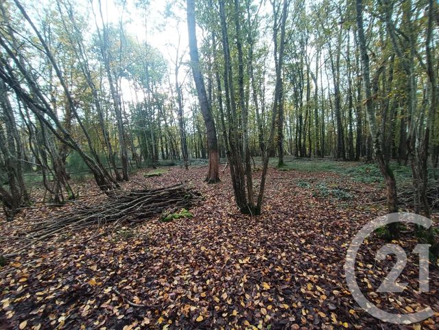 Maison à vendre - 6 pièces - 158,20 m2 - Vicq Exemplet - 36 - CENTRE