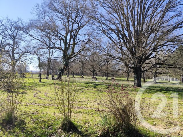 Maison à vendre - 6 pièces - 158,20 m2 - Vicq Exemplet - 36 - CENTRE