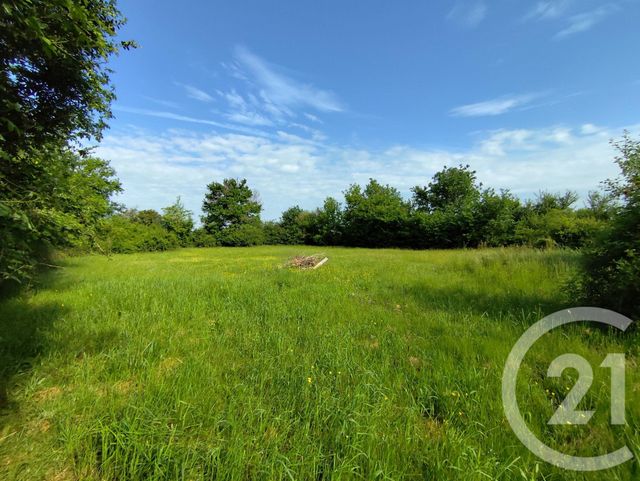 Maison à vendre - 2 pièces - 99,50 m2 - Vicq Exemplet - 36 - CENTRE