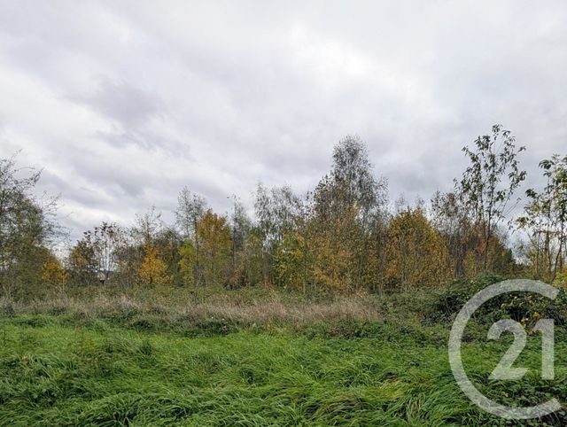 Terrain &agrave; vendre - 2000 m2 - La Chatre - 36 - CENTRE