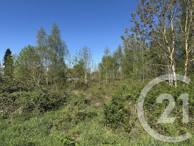 Terrain &agrave; vendre - 1500 m2 - La Chatre - 36 - CENTRE