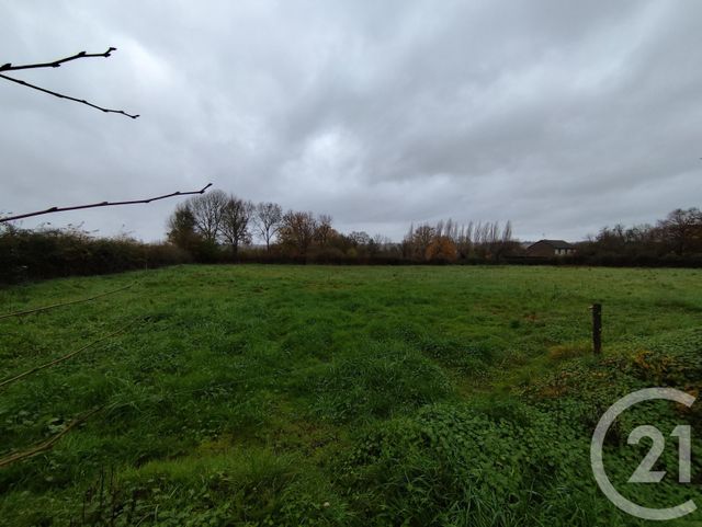 Terrain à vendre - 3638 m2 - Montipouret - 36 - CENTRE