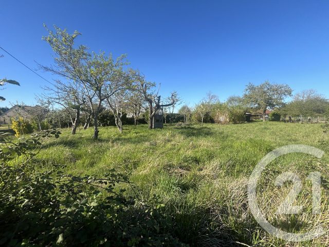 Terrain &agrave; vendre - 1150 m2 - La Chatre - 36 - CENTRE