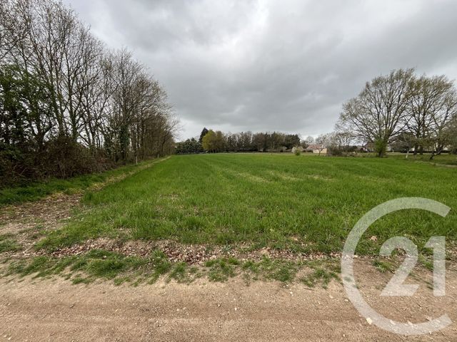 Terrain &agrave; vendre - 6839 m2 - Le Magny - 36 - CENTRE