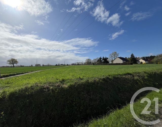terrain - LE MAGNY - 36