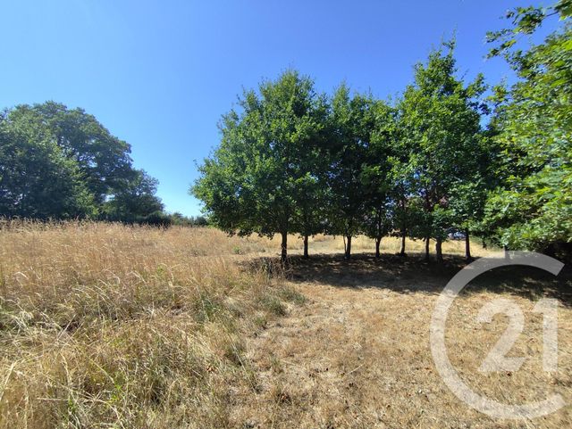 Maison &agrave; vendre - 7 pi&egrave;ces - 175 m2 - Chassignolles - 36 - CENTRE