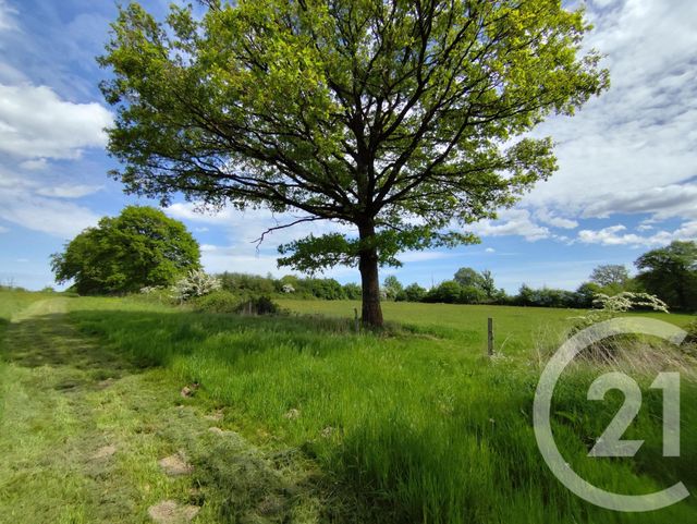 Maison &agrave; vendre - 2 pi&egrave;ces - 69,60 m2 - La Berthenoux - 36 - CENTRE