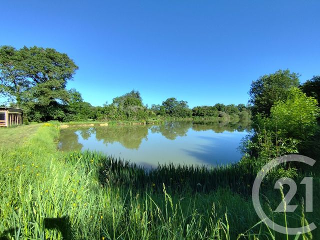 Divers &agrave; vendre - 27710 m2 - La Berthenoux - 36 - CENTRE