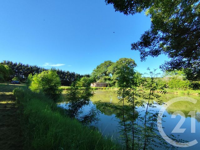 Divers &agrave; vendre - 27710 m2 - La Berthenoux - 36 - CENTRE