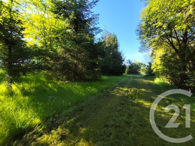 Divers &agrave; vendre - 27710 m2 - La Berthenoux - 36 - CENTRE