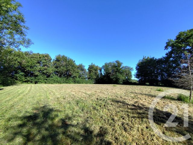 Terrain &agrave; vendre - 27710 m2 - La Berthenoux - 36 - CENTRE