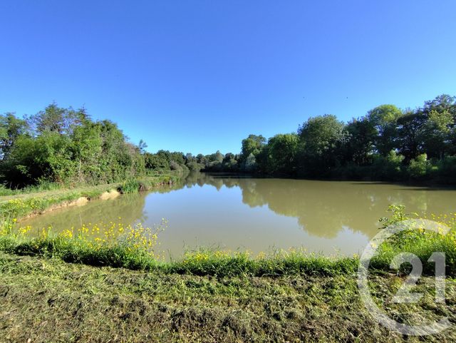 Terrain &agrave; vendre - 27710 m2 - La Berthenoux - 36 - CENTRE