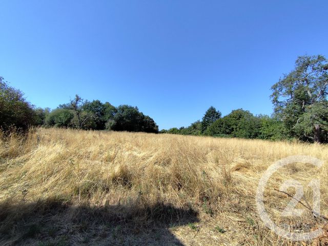 Maison &agrave; vendre - 3 pi&egrave;ces - 74 m2 - Chassignolles - 36 - CENTRE