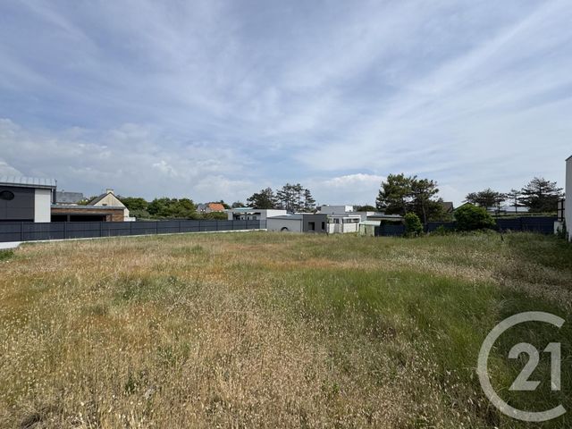 terrain - AGON COUTAINVILLE - 50