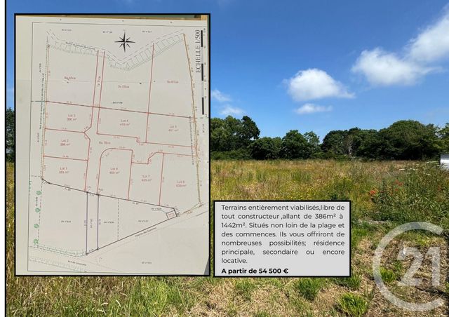 terrain - GOUVILLE SUR MER - 50