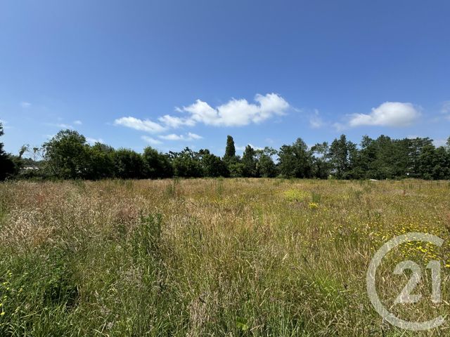 Terrain à vendre - 425 m2 - Gouville Sur Mer - 50 - BASSE-NORMANDIE