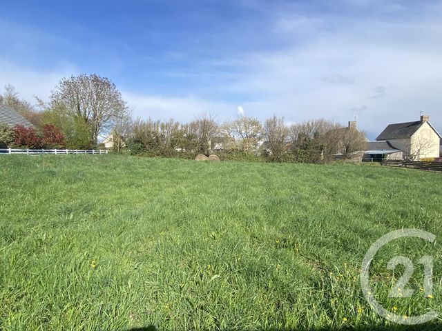terrain - TOURVILLE SUR SIENNE - 50