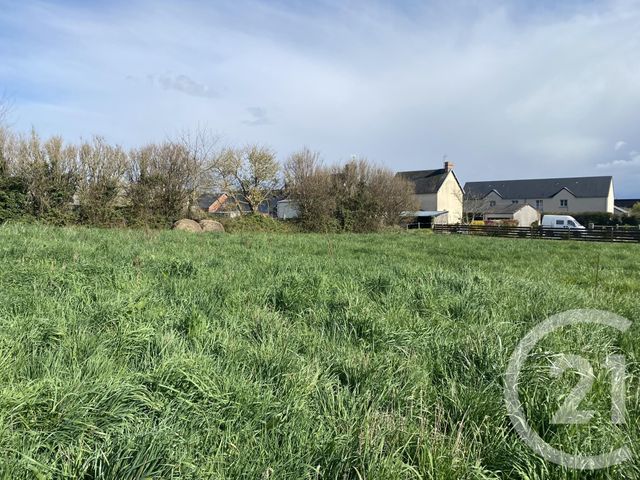 terrain - TOURVILLE SUR SIENNE - 50