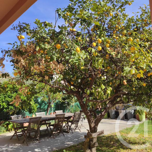 Maison a louer nice - 6 pièce(s) - 181.8 m2 - Surfyn