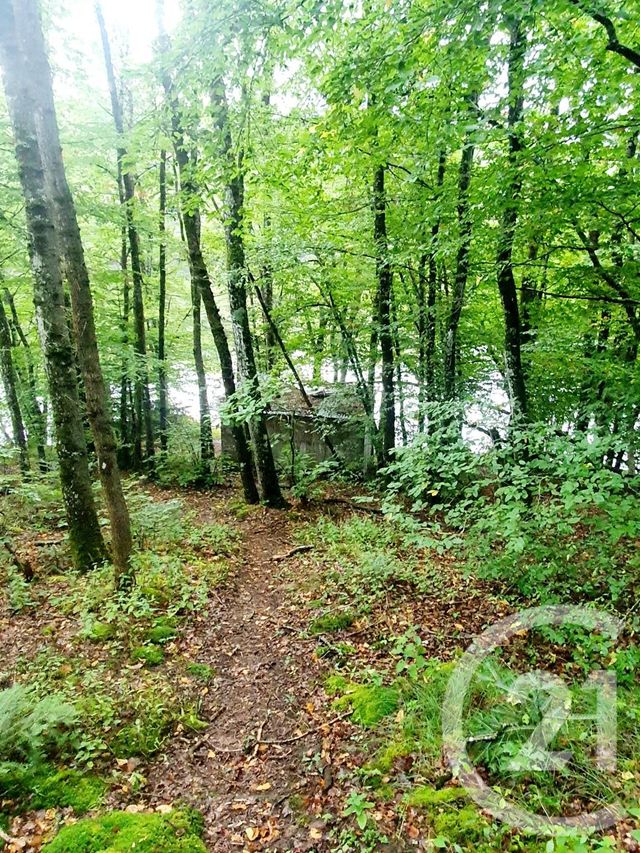 Terrain &agrave; vendre - 10553 m2 - Mazirat - 03 - AUVERGNE