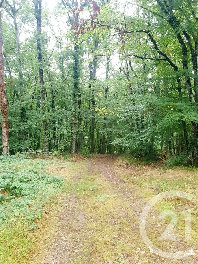 Terrain &agrave; vendre - 10553 m2 - Mazirat - 03 - AUVERGNE