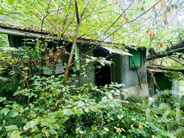 Terrain &agrave; vendre - 10553 m2 - Mazirat - 03 - AUVERGNE