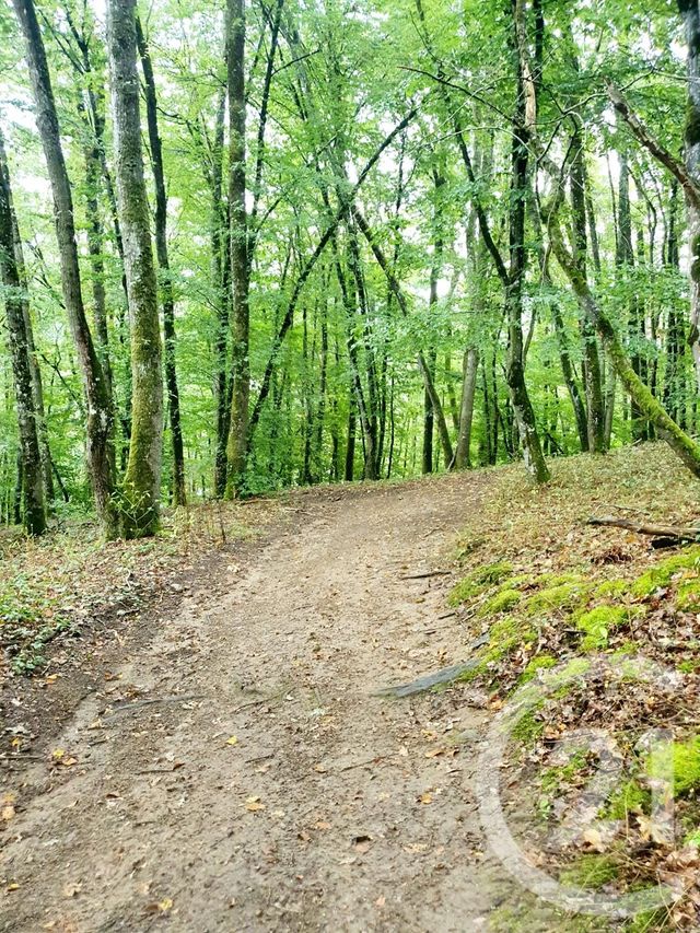 Terrain &agrave; vendre - 10553 m2 - Mazirat - 03 - AUVERGNE