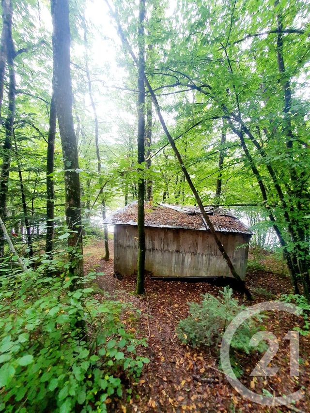 Terrain &agrave; vendre - 10553 m2 - Mazirat - 03 - AUVERGNE