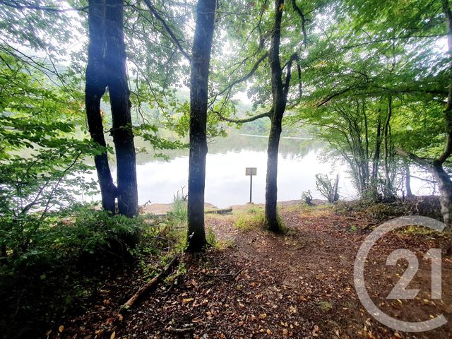 Terrain &agrave; vendre - 10553 m2 - Mazirat - 03 - AUVERGNE