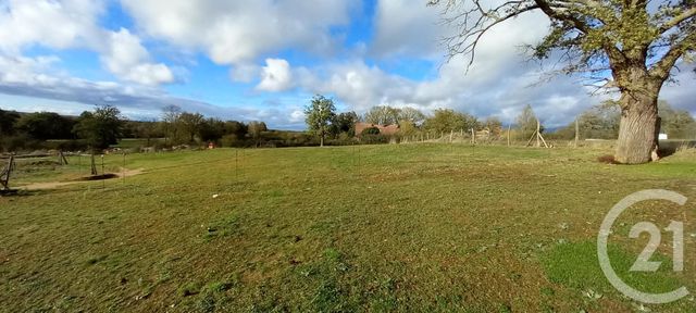 terrain - VENAS - 03