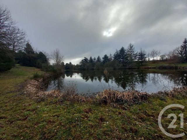 Terrain &agrave; vendre - 32616 m2 - Neris Les Bains - 03 - AUVERGNE