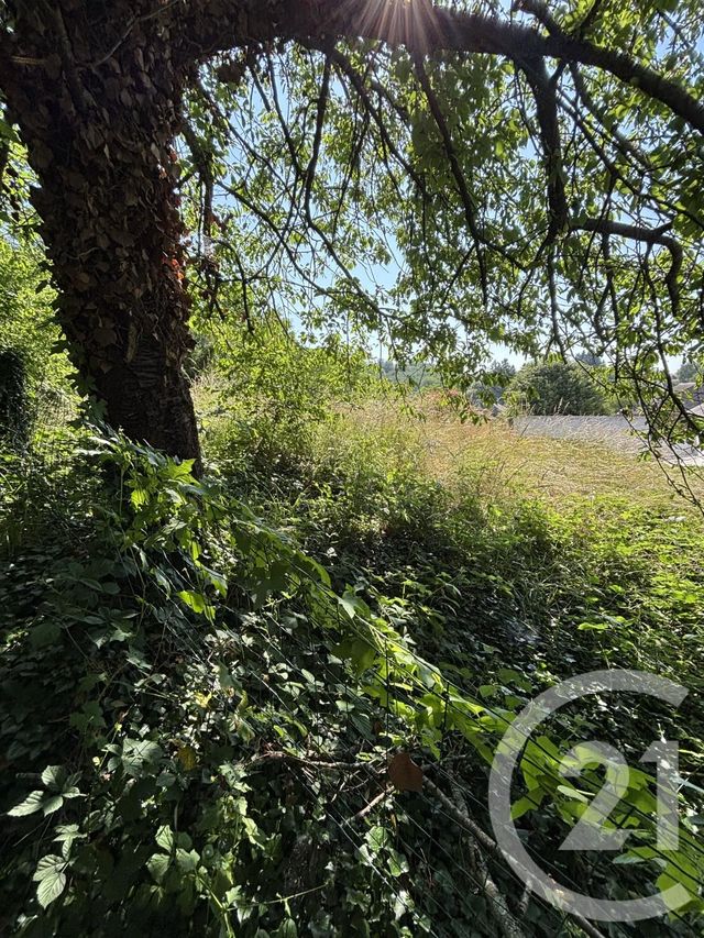 Maison à vendre - 5 pièces - 115 m2 - Bezenet - 03 - AUVERGNE