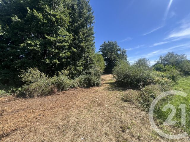 Terrain &agrave; vendre - 8775 m2 - Villebret - 03 - AUVERGNE