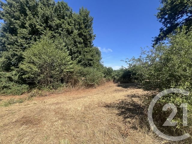 Terrain &agrave; vendre - 8775 m2 - Villebret - 03 - AUVERGNE