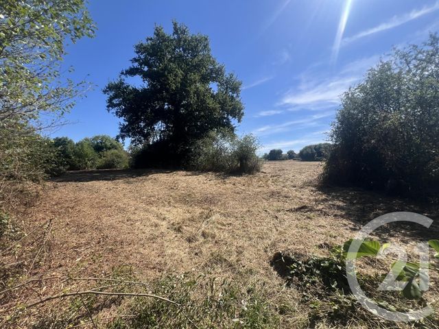 terrain - VILLEBRET - 03