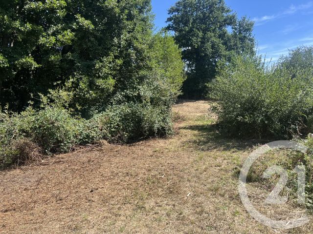 Terrain &agrave; vendre - 8775 m2 - Villebret - 03 - AUVERGNE