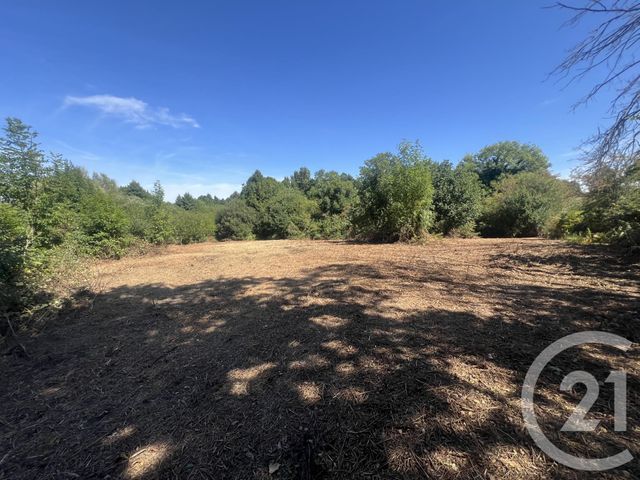 Terrain &agrave; vendre - 8775 m2 - Villebret - 03 - AUVERGNE