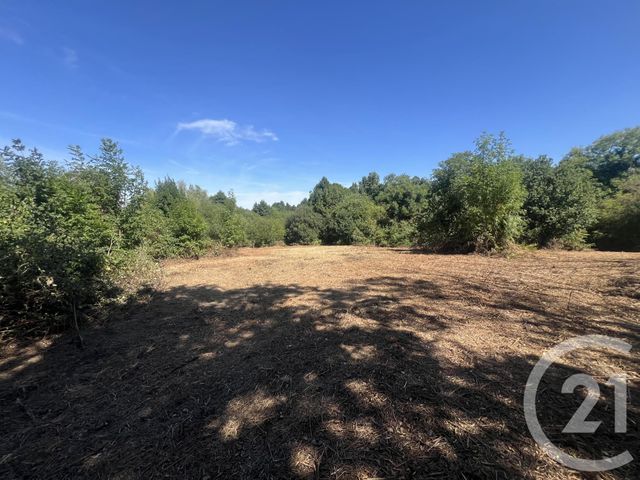 Terrain &agrave; vendre - 8775 m2 - Villebret - 03 - AUVERGNE