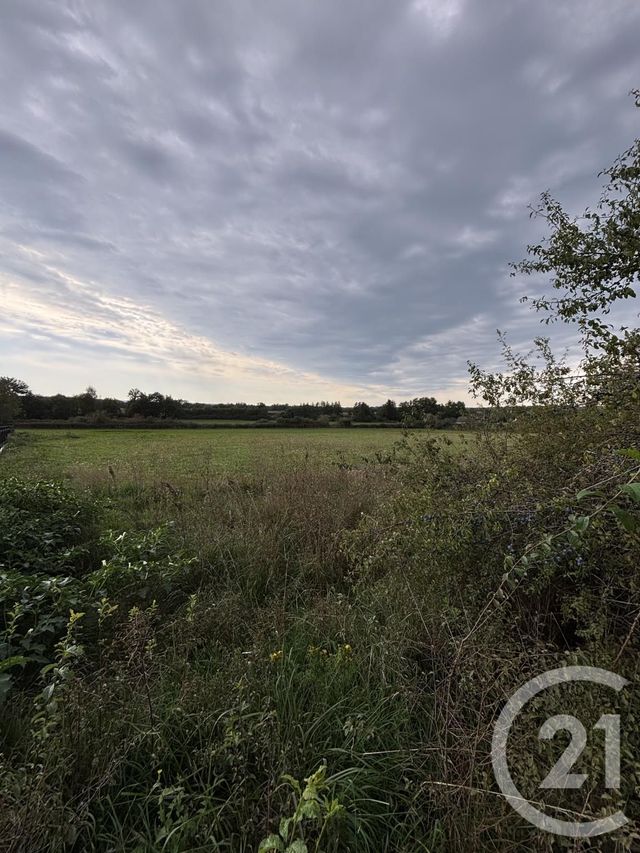 terrain - DOMERAT - 03